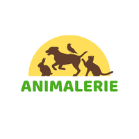 Animalerie